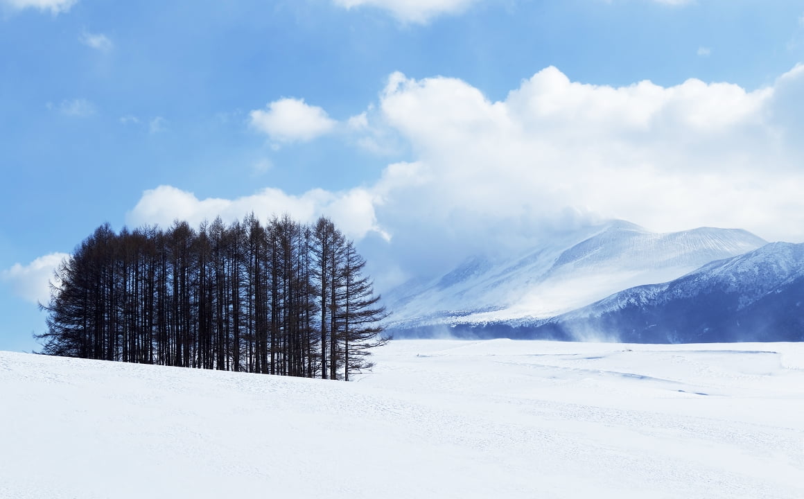 雪に覆われた風景、木々と山々が美しく調和している静かな自然