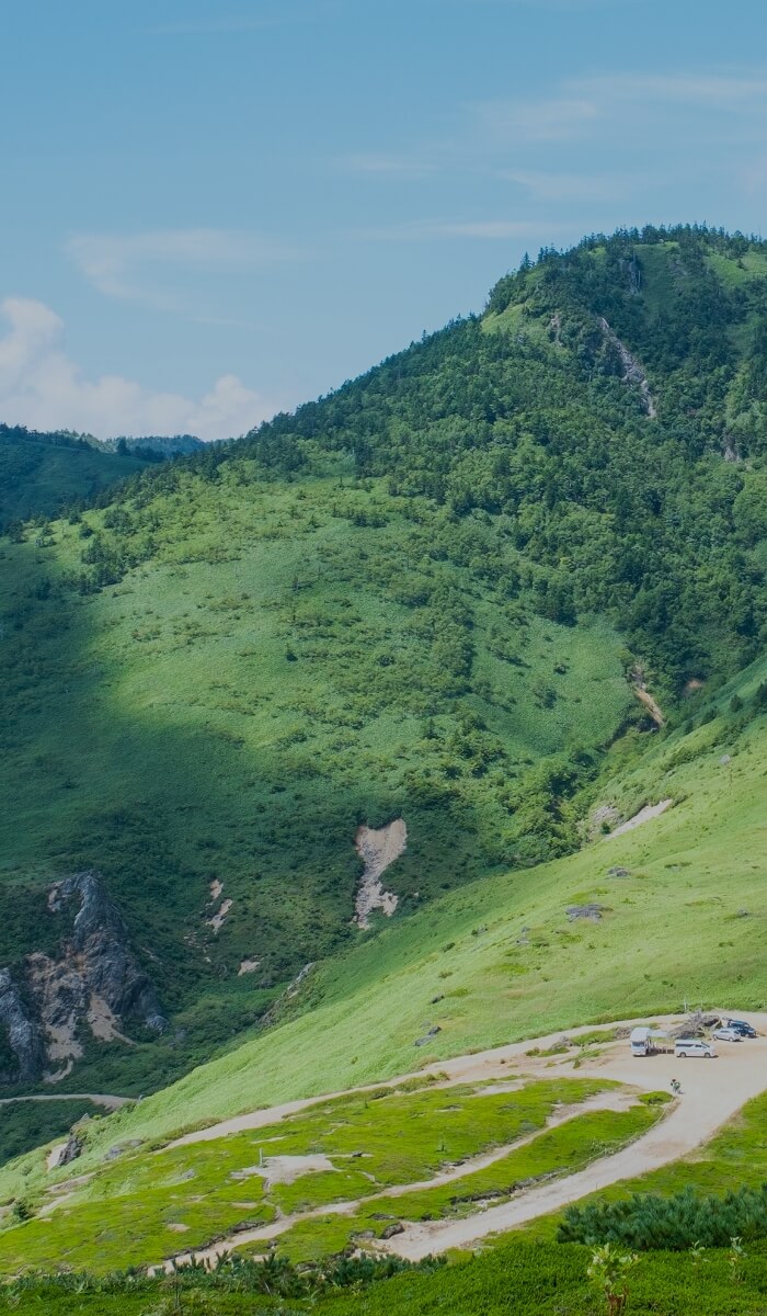 山を背景にした花畑の風景