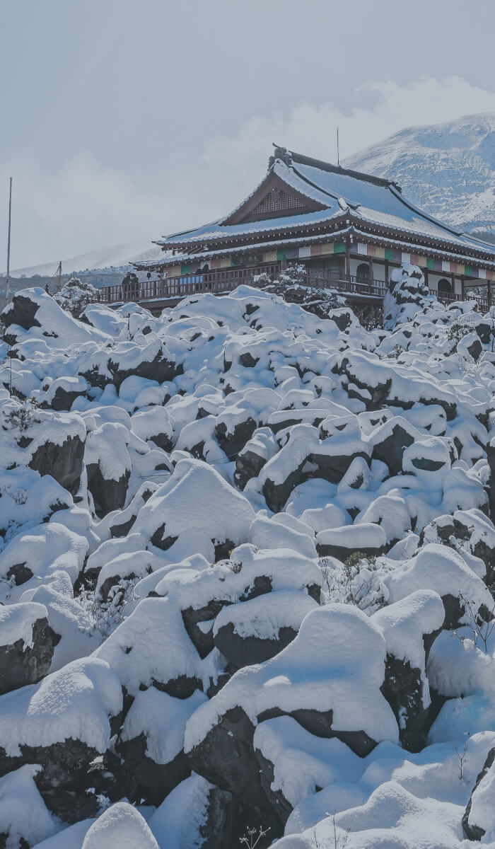 山を背景にした花畑の風景