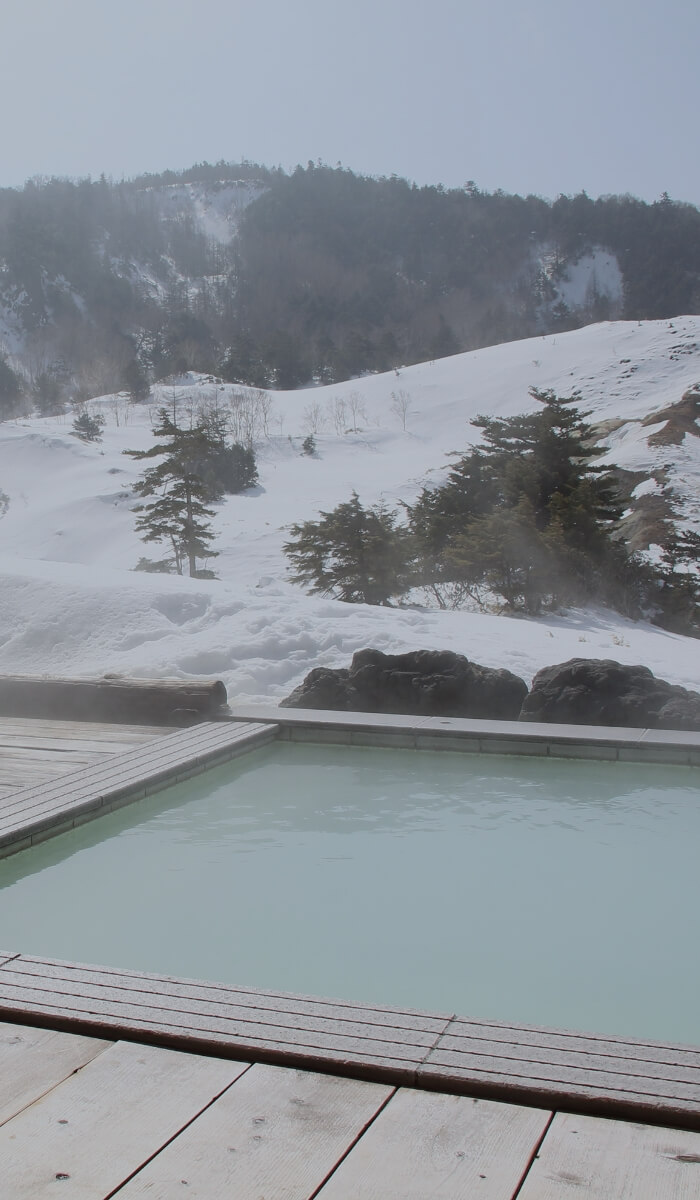 山を背景にした花畑の風景